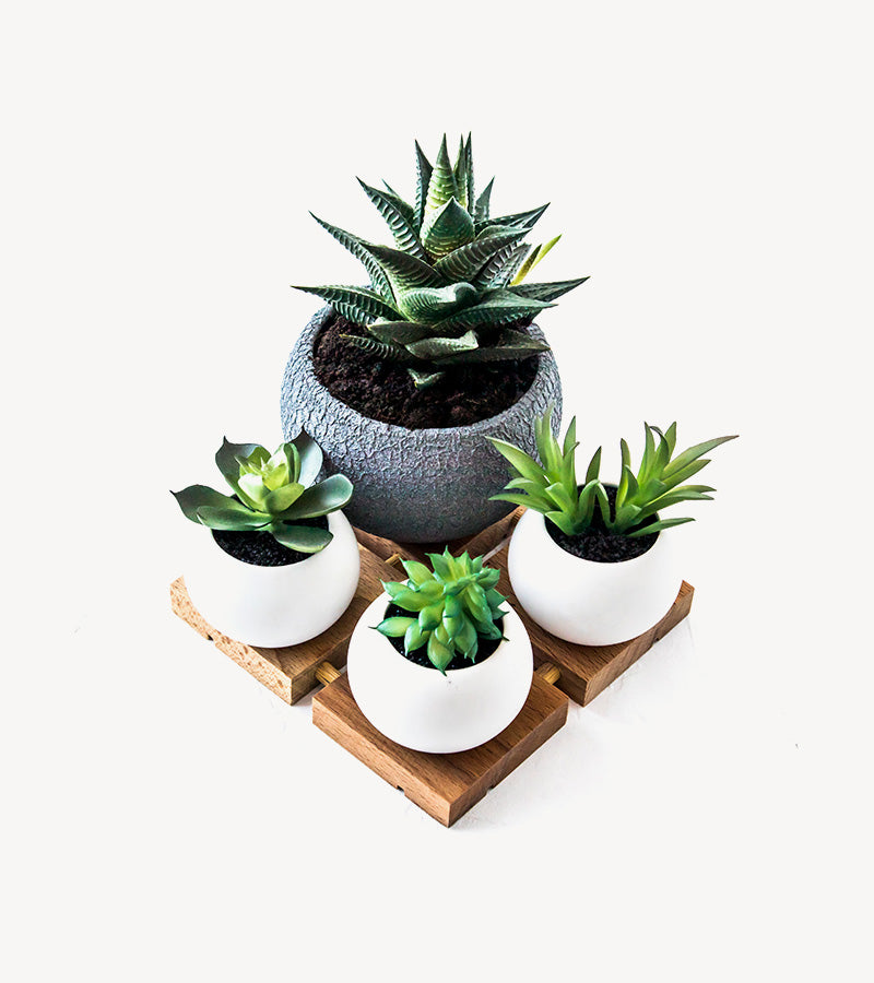 4 pot in bundle
