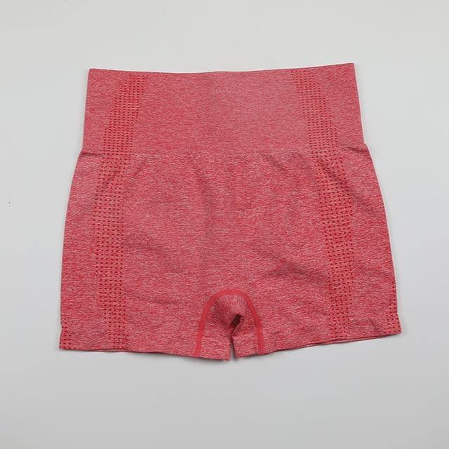 High Waist Workout Shorts - Avone - Ultimate Shopify Theme