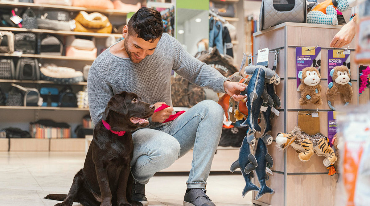 Tips for Buying Accessories For your Loved Pet Dog And Cat