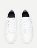 Lace Up Low Top Sneakers - Avone - Ultimate Shopify Theme