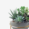 White Ceramic Plant Flower - Avone - Ultimate Shopify Theme
