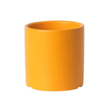 Cylindrical Shape Flower Pot